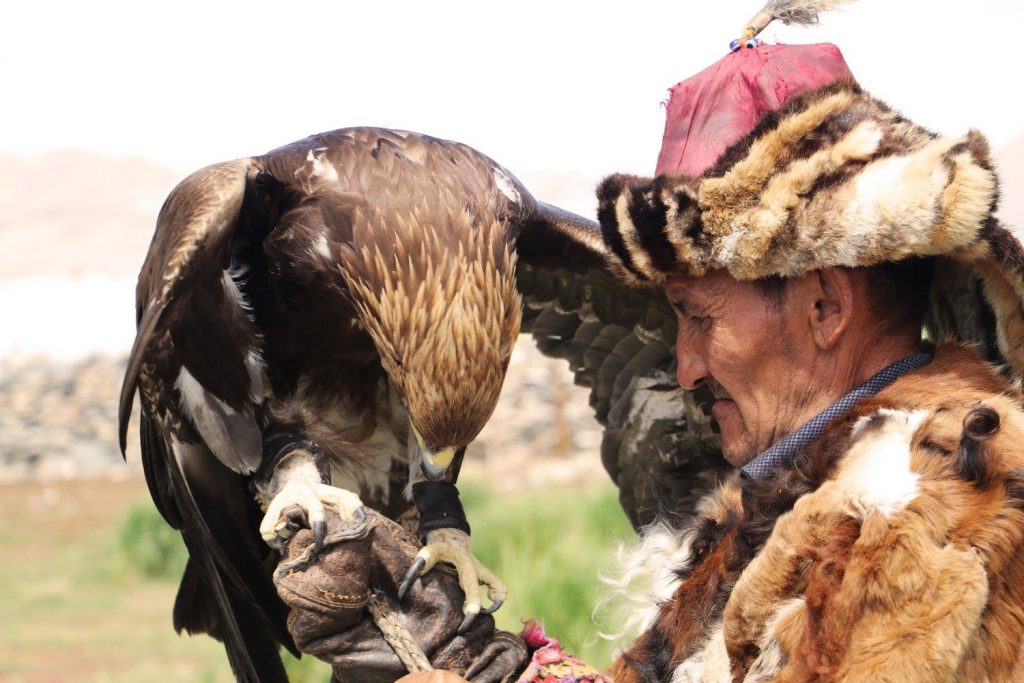 hunting with eagles