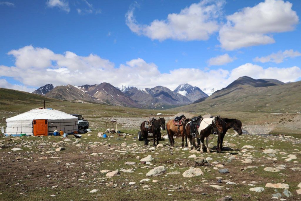Horse training in Mongolia