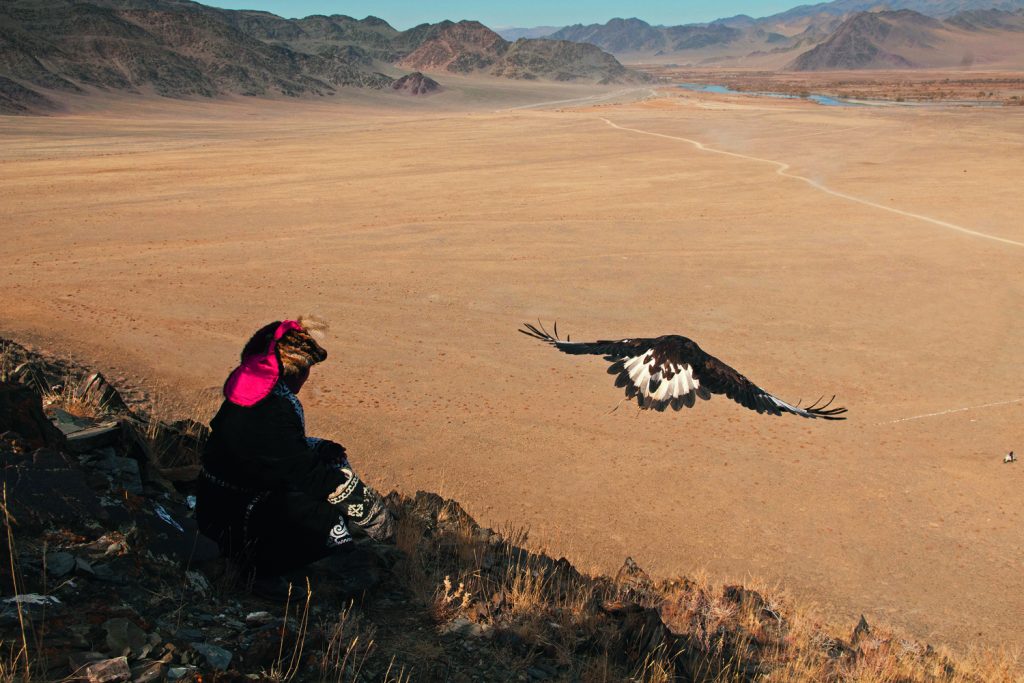 Hunting with eagles