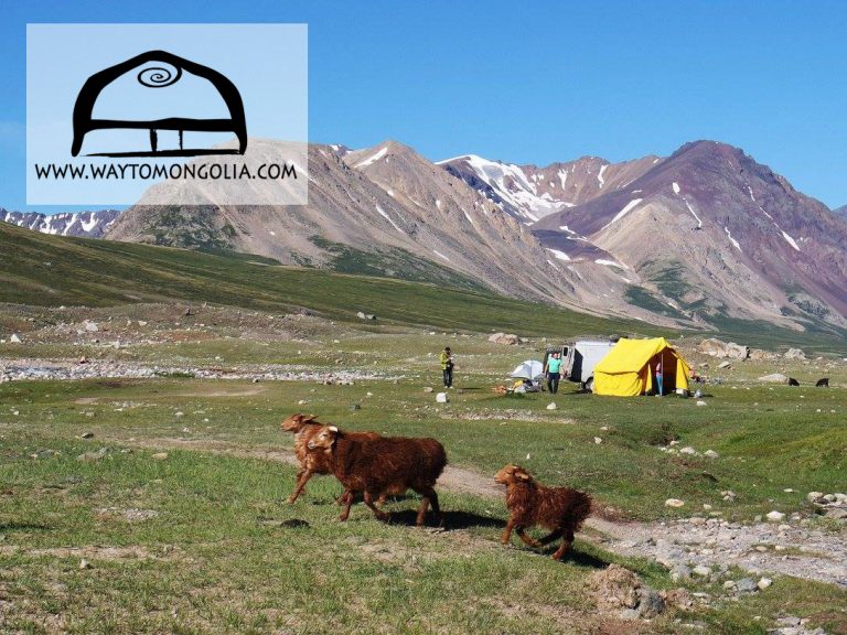 The best time to visit Mongolia