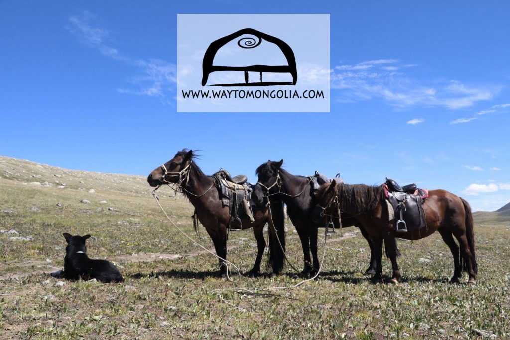 Photos of Mongolia