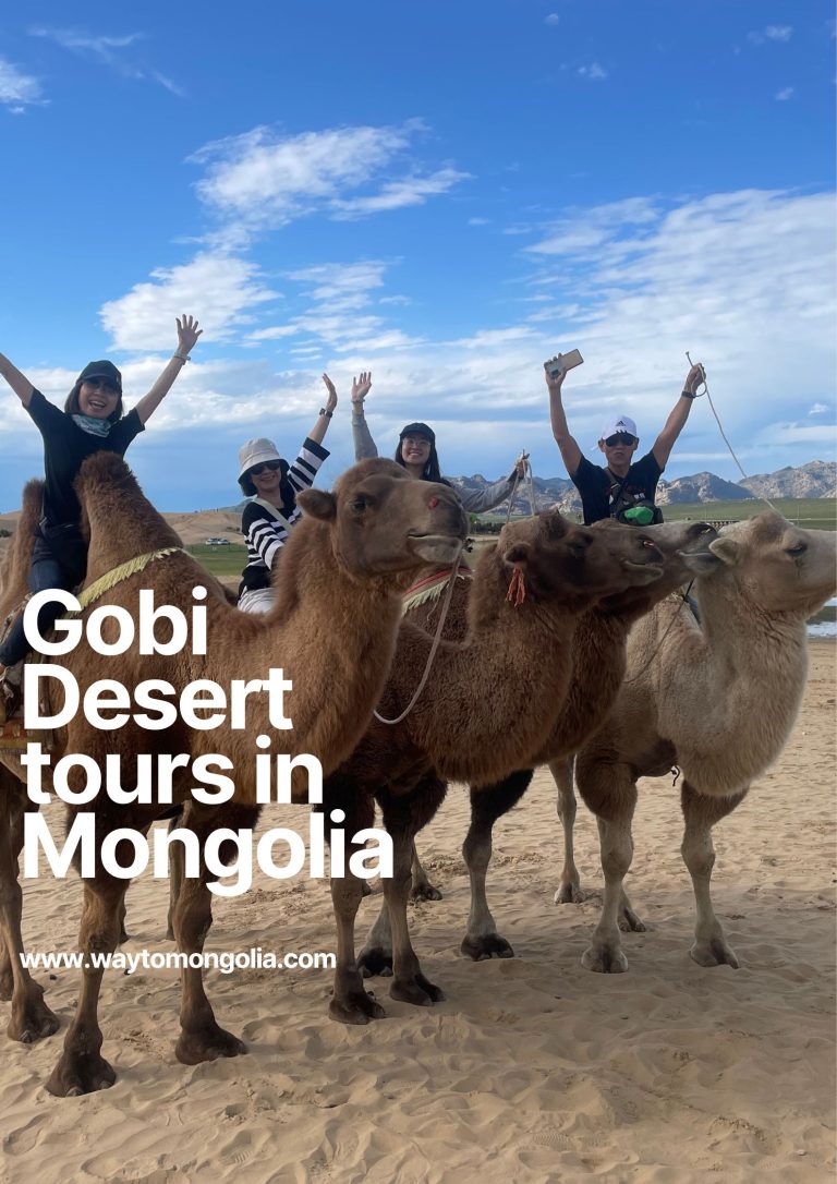 Gobi desert tours in Mongolia