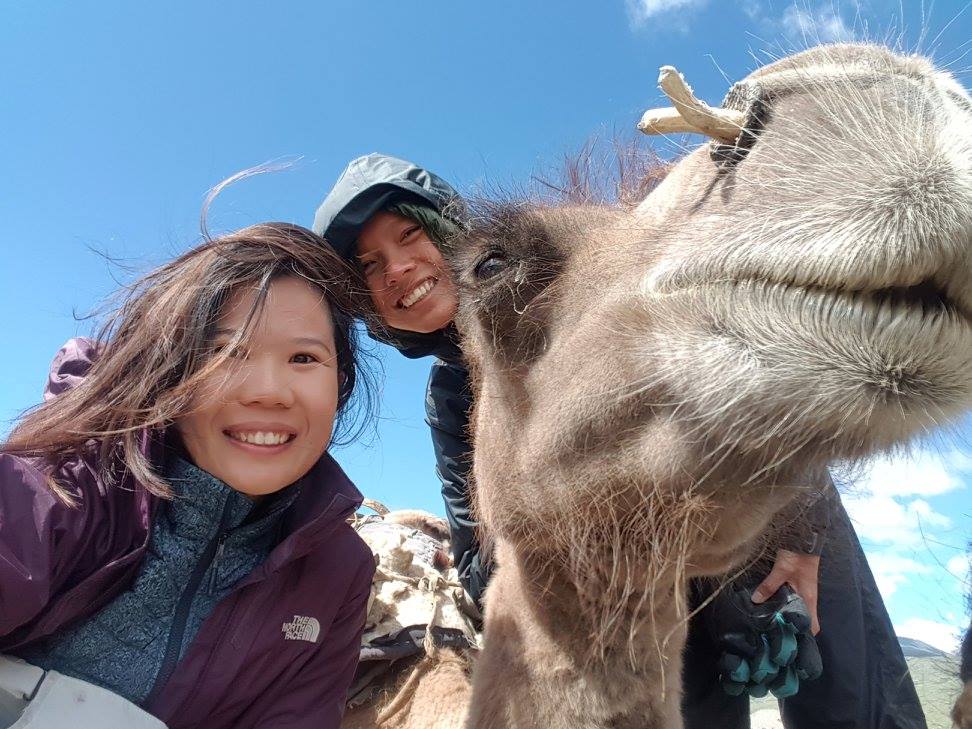 Trekking in Mongolia
