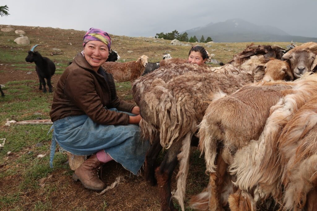 Vacation in Mongolia