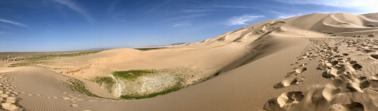 Khongoriin Els ( Sand Dune) or Khongor sand dune