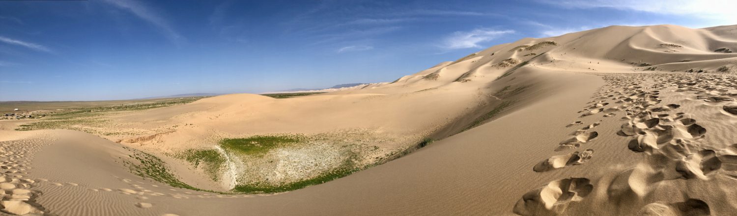 Khongor sand dunes