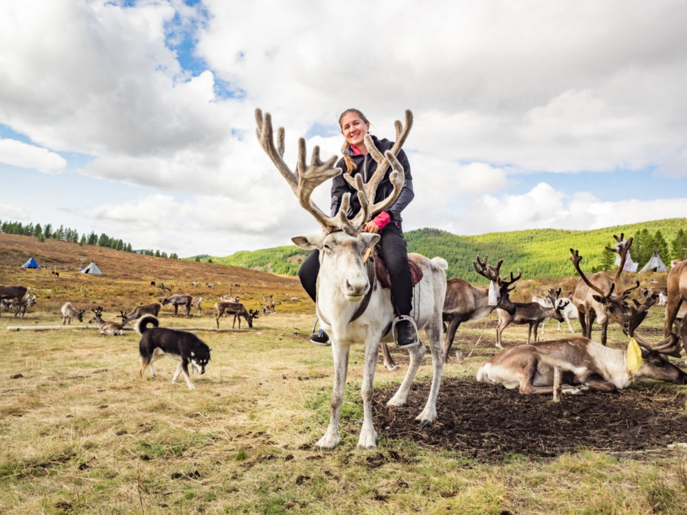 reindeer herders of Mongolia