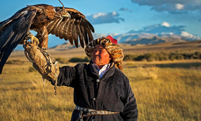 hunting with eagles