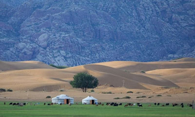 Tours near Ulaanbaatar