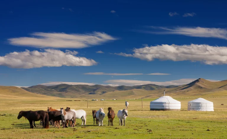 Mongolia vacation packages