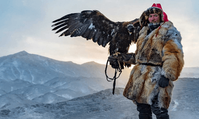 eagle hunting tour packages