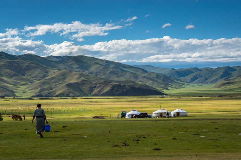 How to tour in Mongolia?