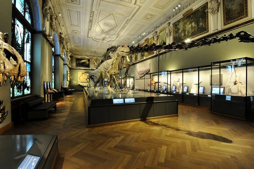 Mongolian Natural History Museum