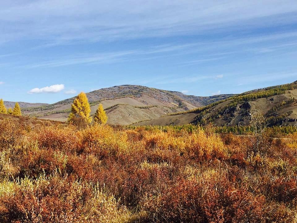 Bogd Khan Uul National Park