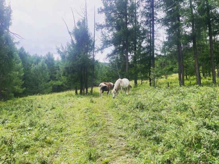 Hiking option near Ulaanbaatar city