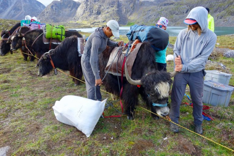 Trekking in central Mongolia