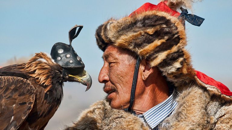 eagle falconry
