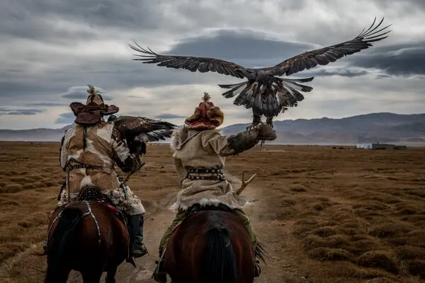 Mongolian eagle hunting