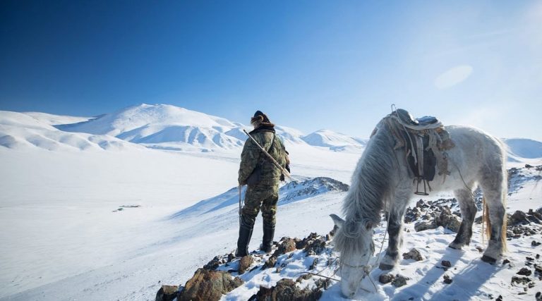 Wolf hunting in Mongolia