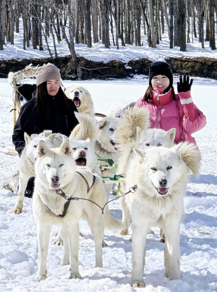 Mongolia dog sledding