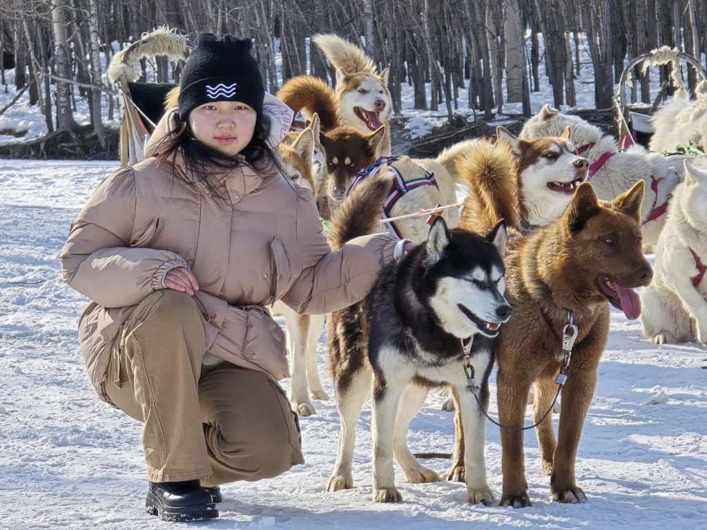 Mongolia dog sledding