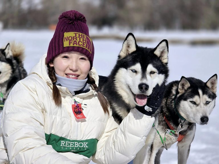 Dog sledding tour in Mongolia and how it works