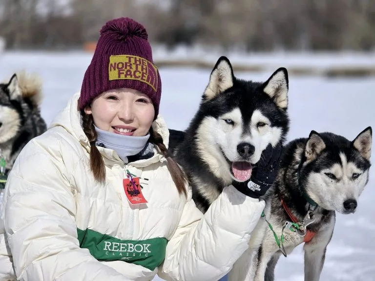 Mongolia dog sledding