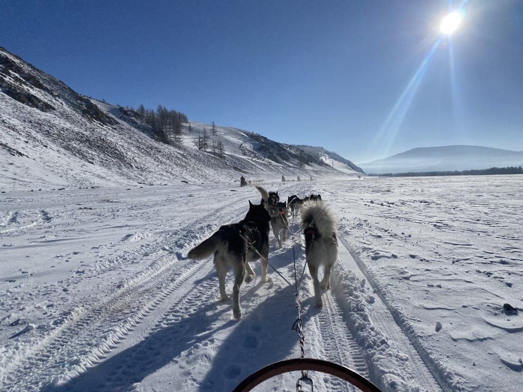 Dog sledding in Mongolia