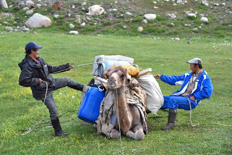 Altai Mountain holidays