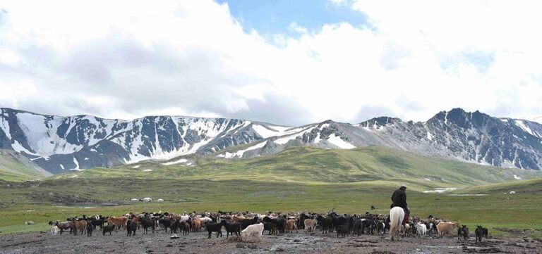Altai Mountain holidays