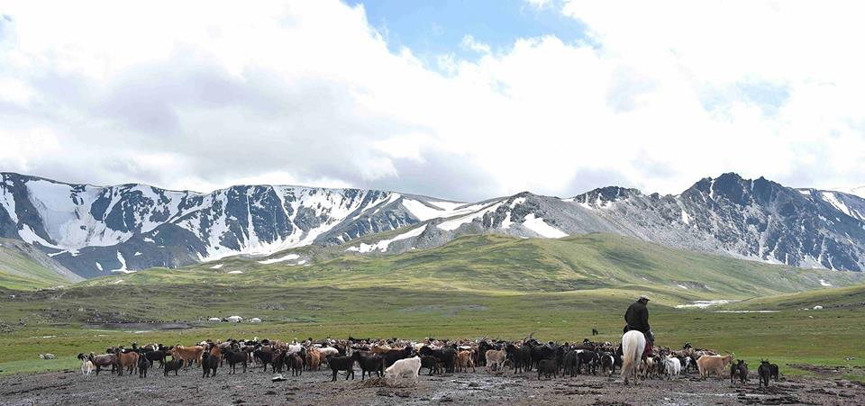 Altai Mountain holidays